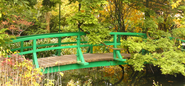 Garden at 